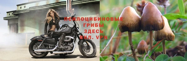 а пвп мука Богородск