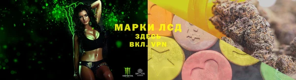 ГАЛЛЮЦИНОГЕННЫЕ ГРИБЫ Богородицк