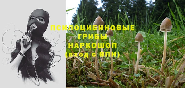 бошки Богданович
