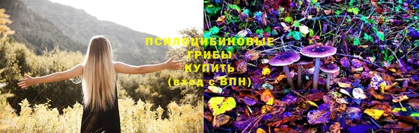 ГАЛЛЮЦИНОГЕННЫЕ ГРИБЫ Богородицк
