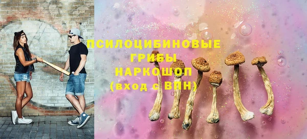 ГАЛЛЮЦИНОГЕННЫЕ ГРИБЫ Богородицк