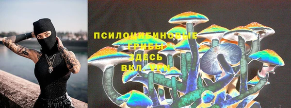 бошки Богданович