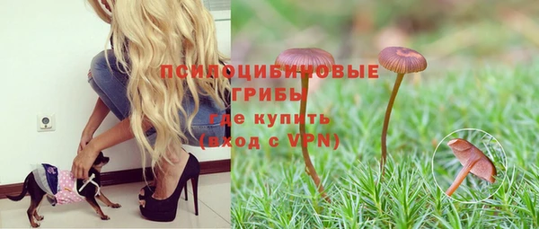 бошки Богданович