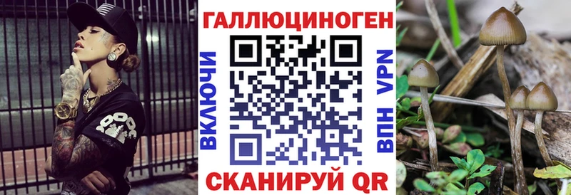 закладки  Добрянка  Псилоцибиновые грибы Psilocybine cubensis 